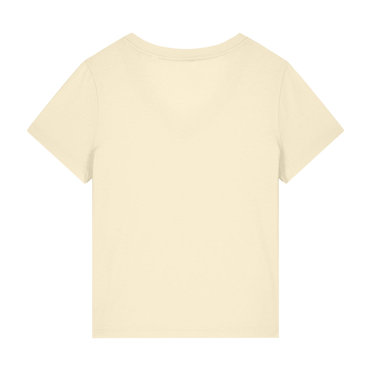 C2573V Stanley/Stella Ladies Stella Isla V-neck Tee
